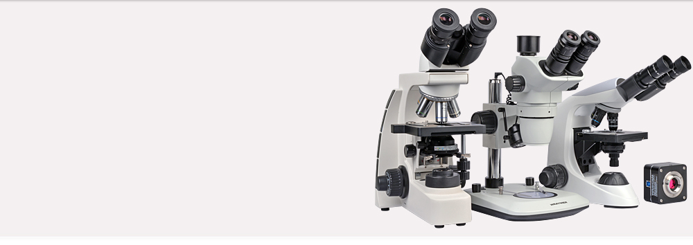 コストパフォーマンスを追求した顕微鏡。顕微鏡用カメラも充実のラインナップ