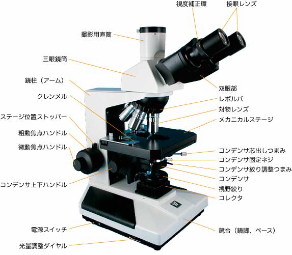 顕微鏡の各部の名称 顕微鏡について レイマー顕微鏡オンラインショップ