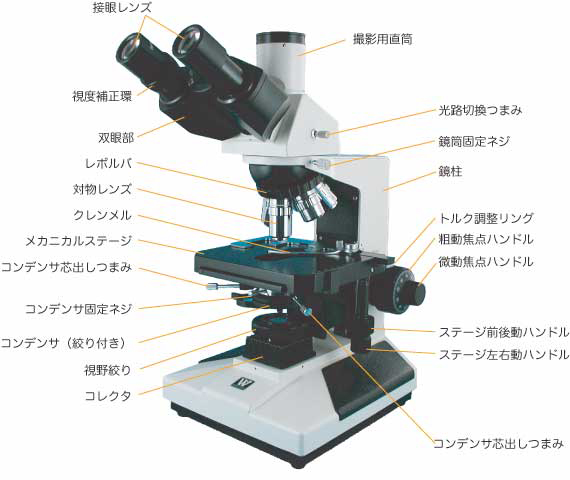 顕微鏡の各部の名称 顕微鏡について レイマー顕微鏡オンラインショップ