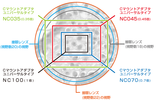 撮影範囲例