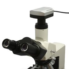 顕微鏡用USBデジタルカメラWRAYCAM顕微鏡接続図