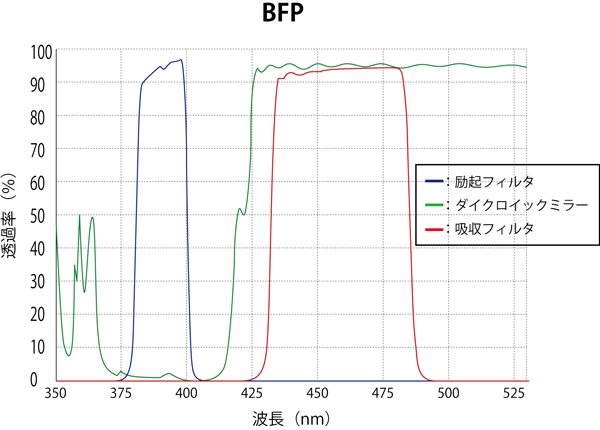 BFP スペクトログラム