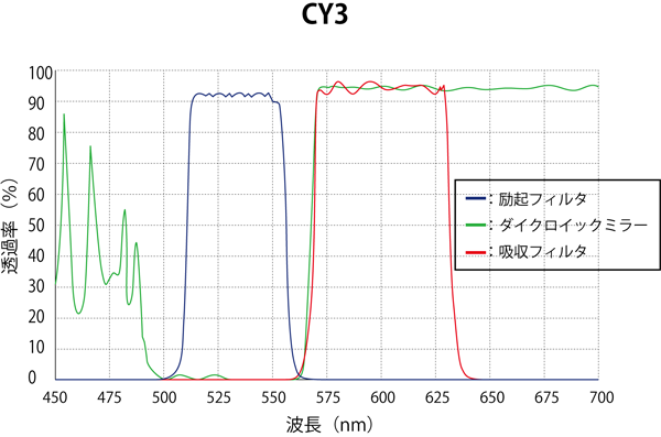 CY3 スペクトログラム