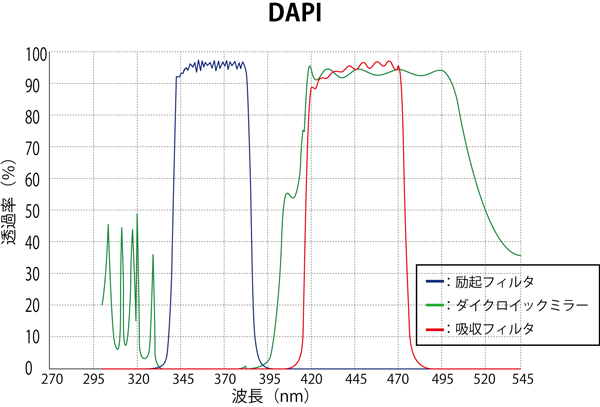 DAPI スペクトログラム