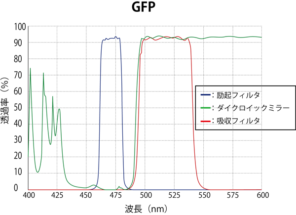 GFP スペクトログラム