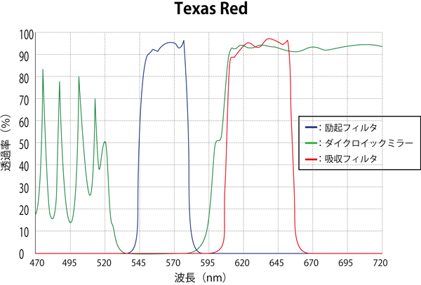 Texas Red スペクトログラム