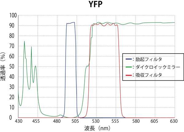 YFP スペクトログラム