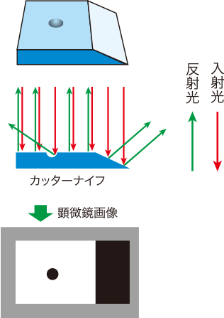 鏡面部とのコントラスト