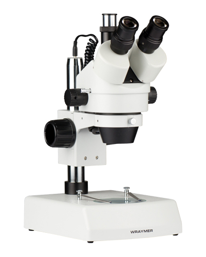 実体顕微鏡｜SW-700TD｜レイマー顕微鏡オンラインショップ