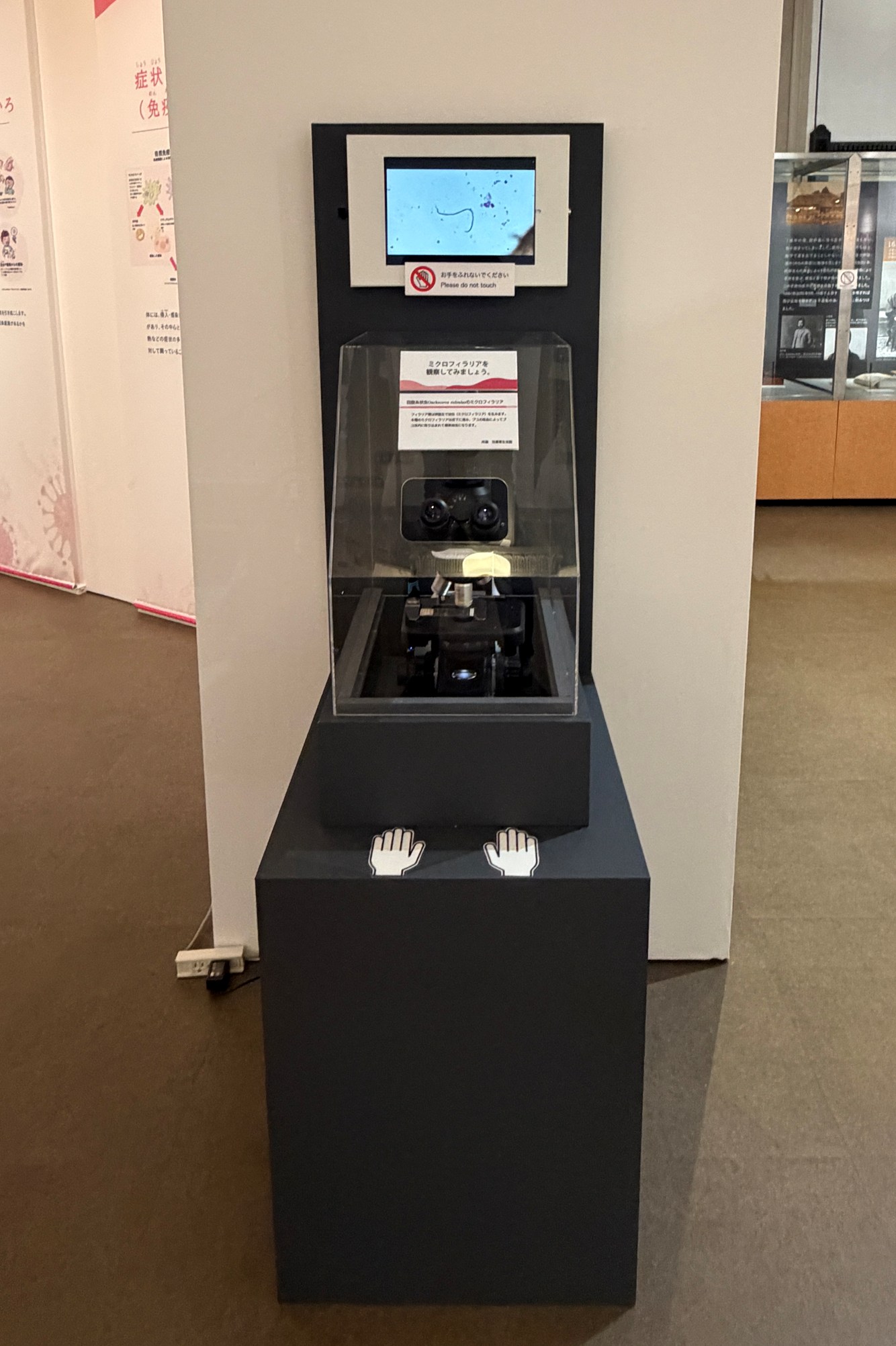 展示例1