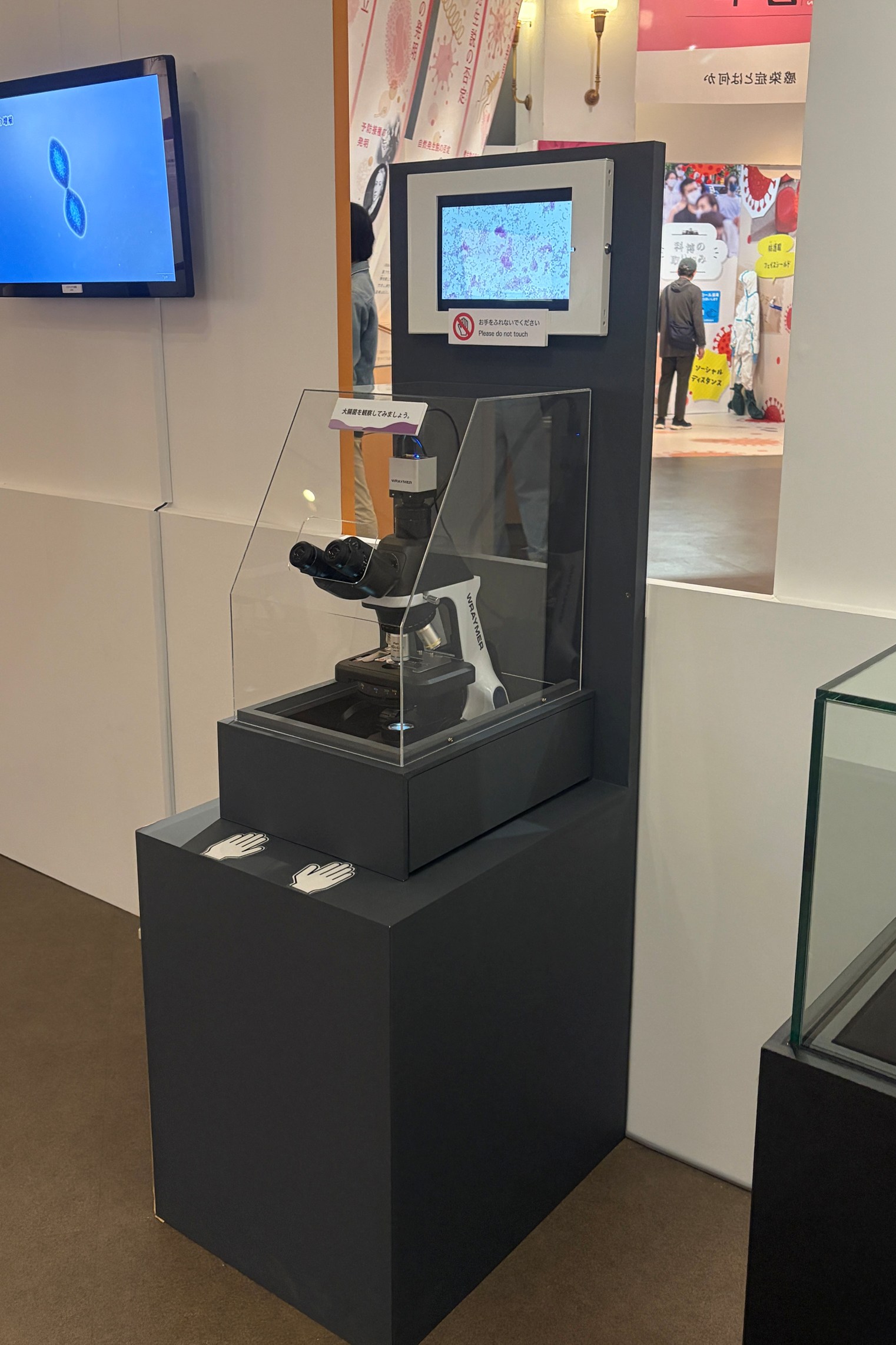 展示例2