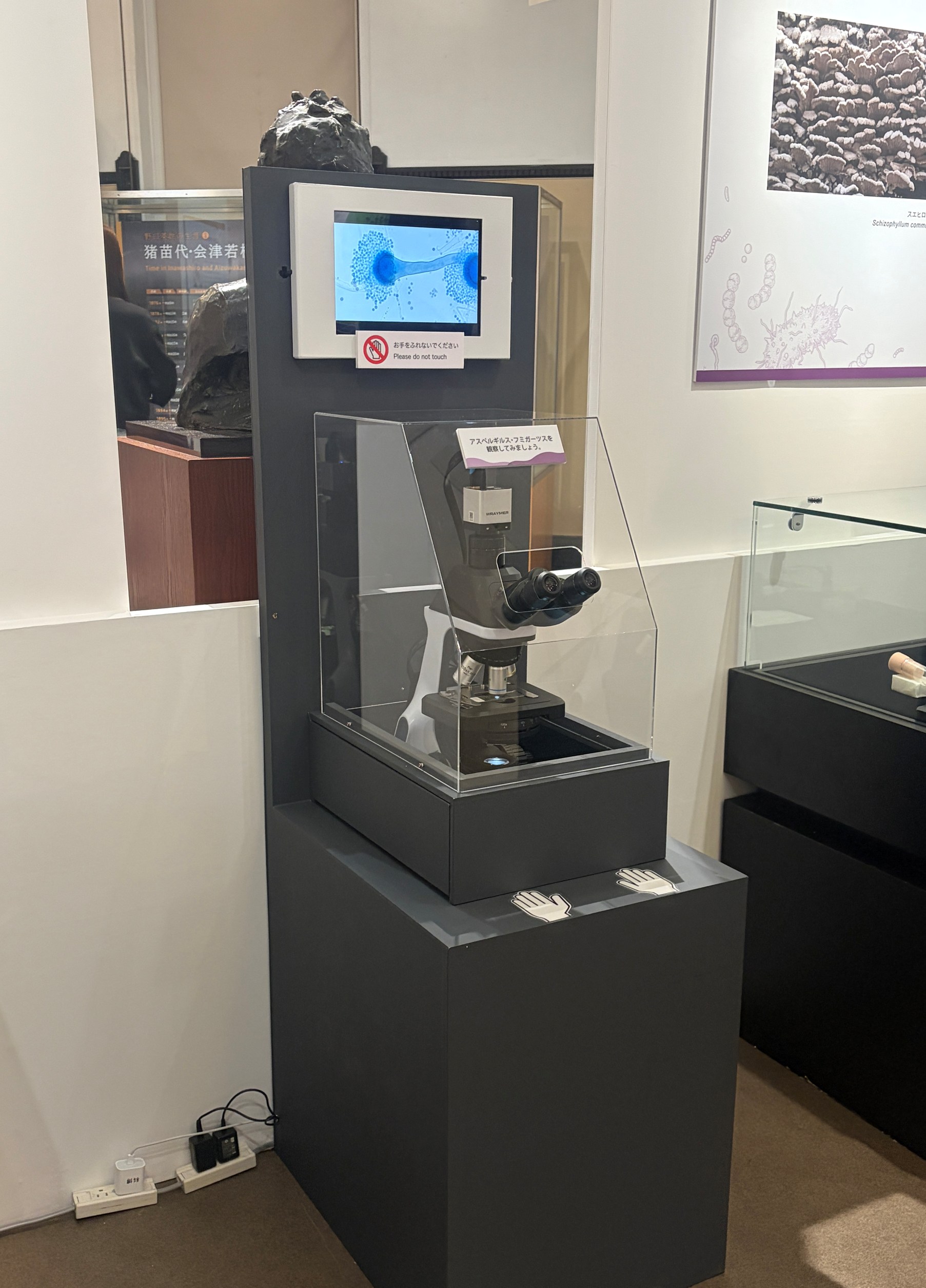 展示例3