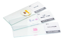 顕微鏡標本 User Manual